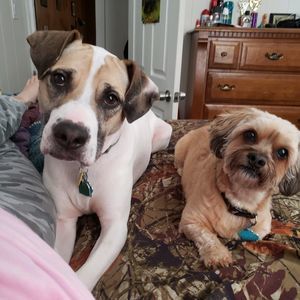 Meet your Posher, April